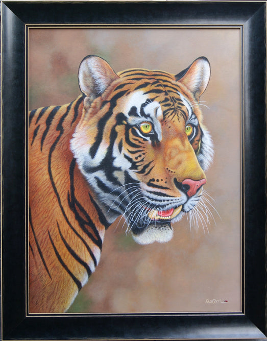 Richard Orr - 'Tiger Tiger' - Original Art