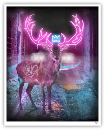 JJ Adams - 'Deer In The Headlights' - Framed Limited Edition