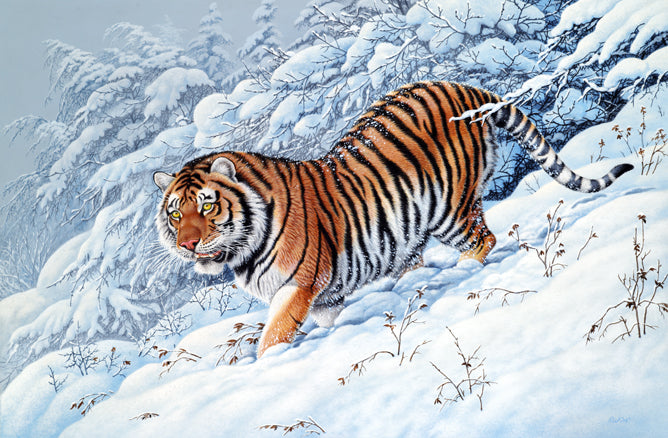 Richard Orr - 'Snow Stalker,Siberian Tiger' - Original Art