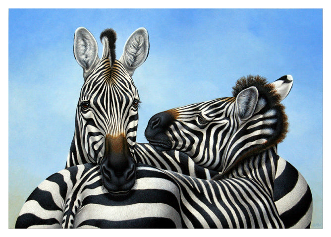 Richard Orr - 'Zebras, Affection' - Original Art