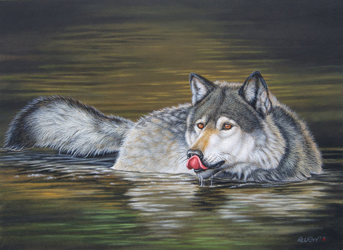 Richard Orr - 'Wolf Thirst' - Original Art