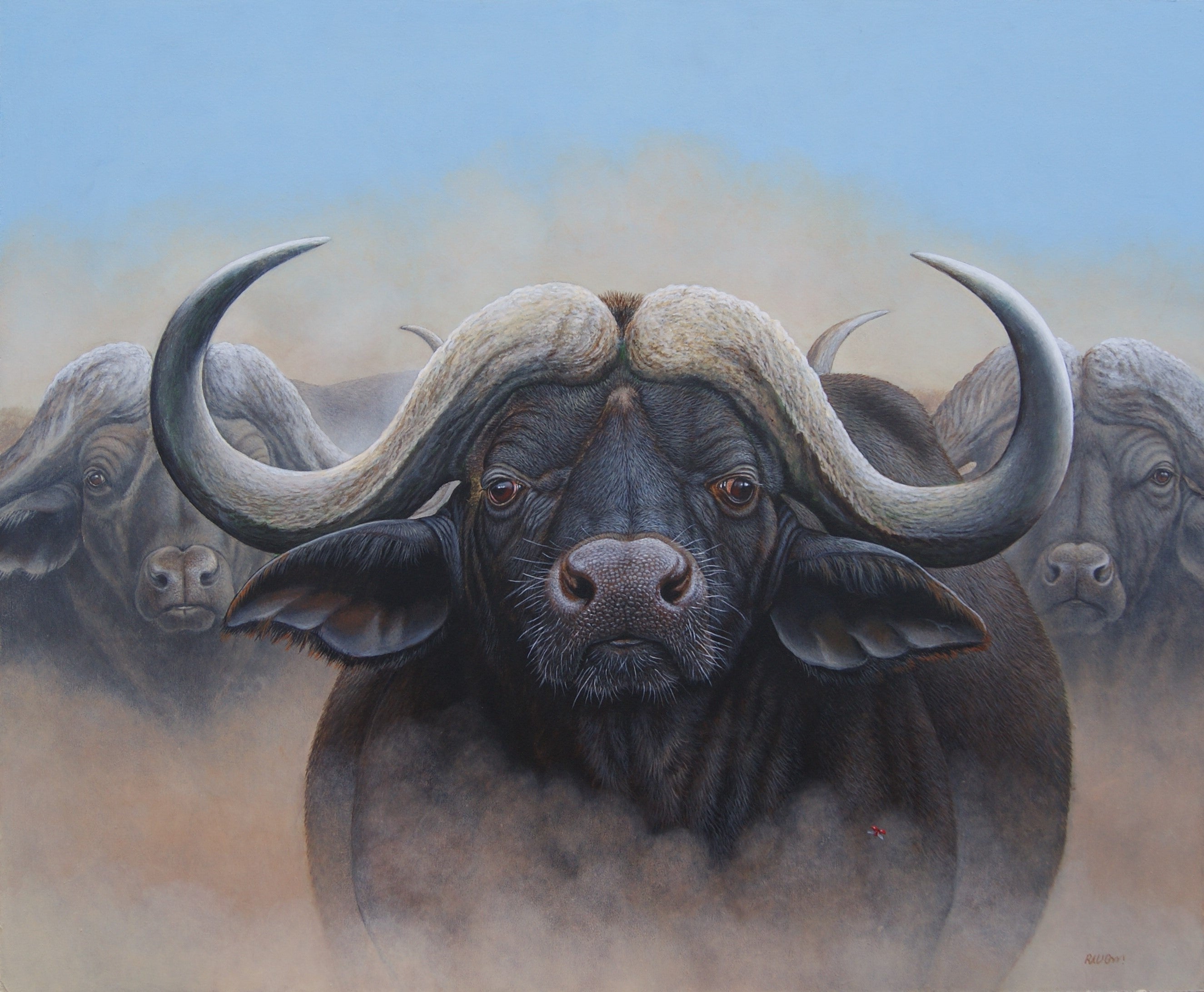 Richard Orr - 'African Water Buffalo-Stand Off' - Original Art